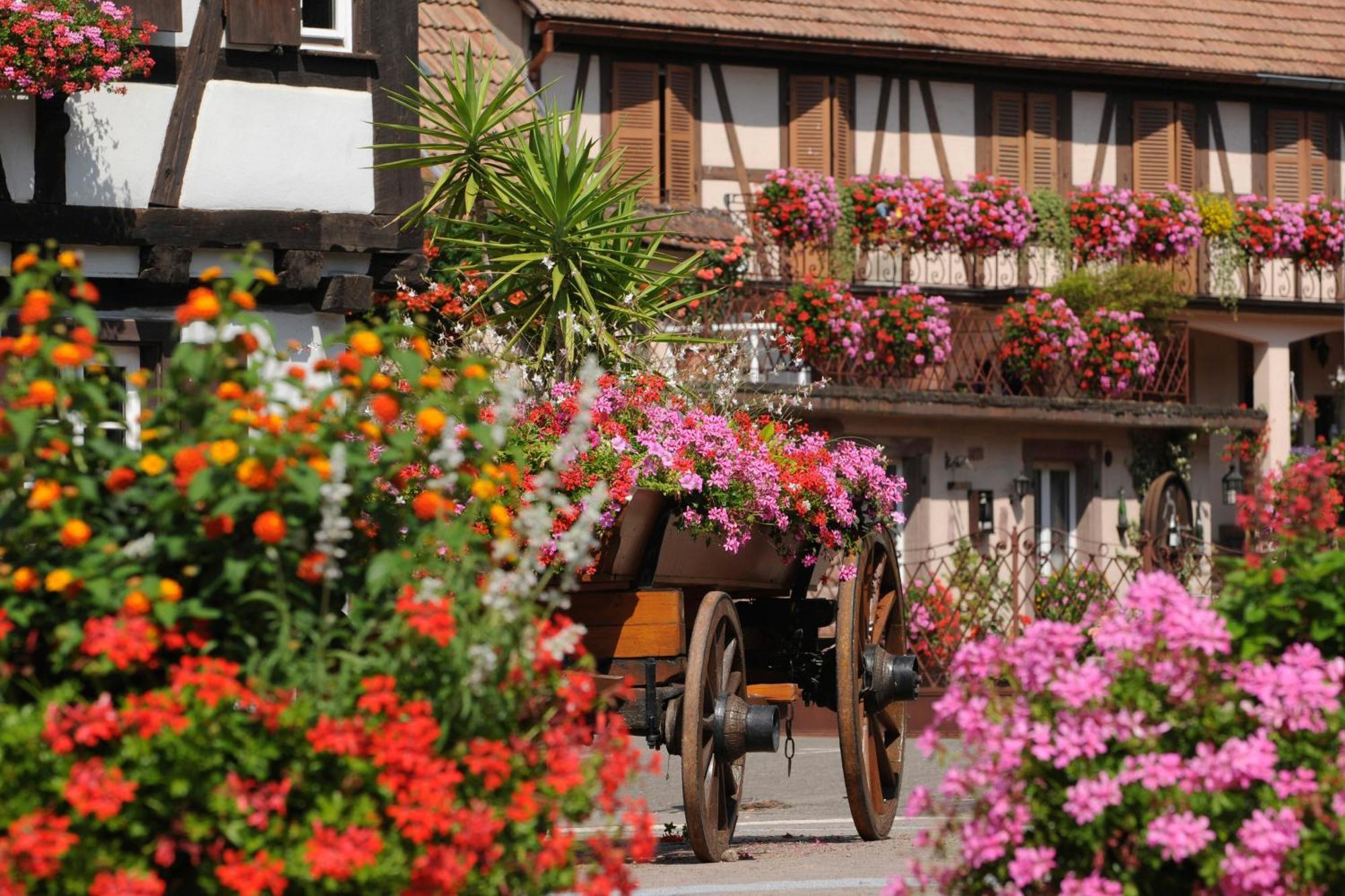 Gite Jeanne Familial - Calme - Parking Ebersheim Екстер'єр фото